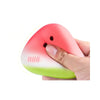 Watermelon Squishy Stress Relief Toy