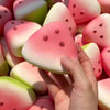 Watermelon Squishy Stress Relief Toy