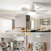 Remote Control LED Ceiling Fan